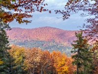 Beskid Niski